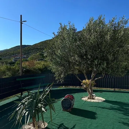 House M&a&k With Swimming Pool